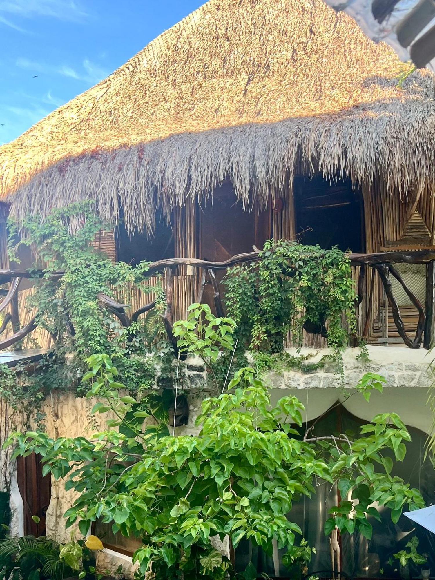 Bed and Breakfast La Quinta Orquidea Пуэрто-Морелос Экстерьер фото
