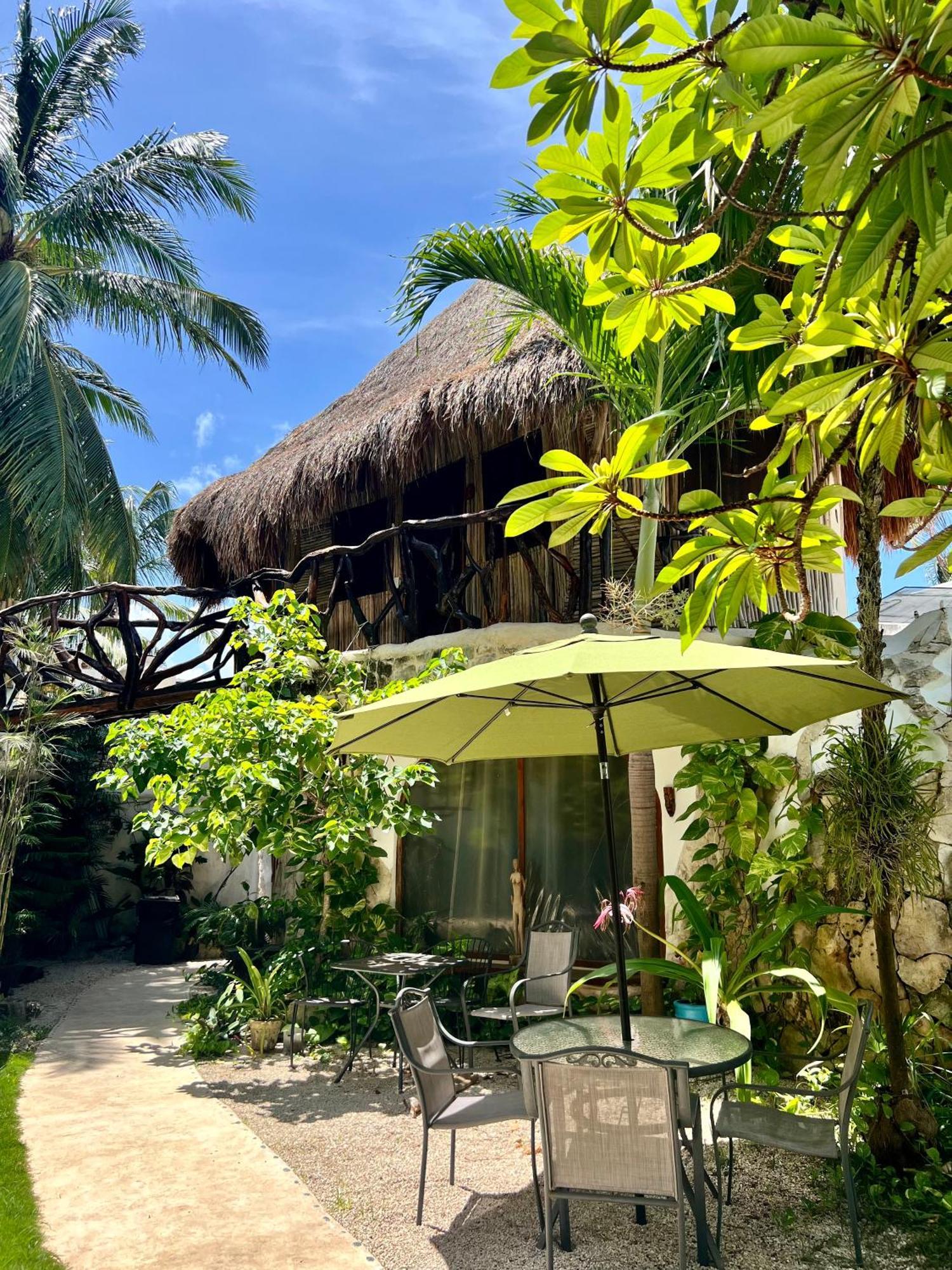 Bed and Breakfast La Quinta Orquidea Пуэрто-Морелос Экстерьер фото