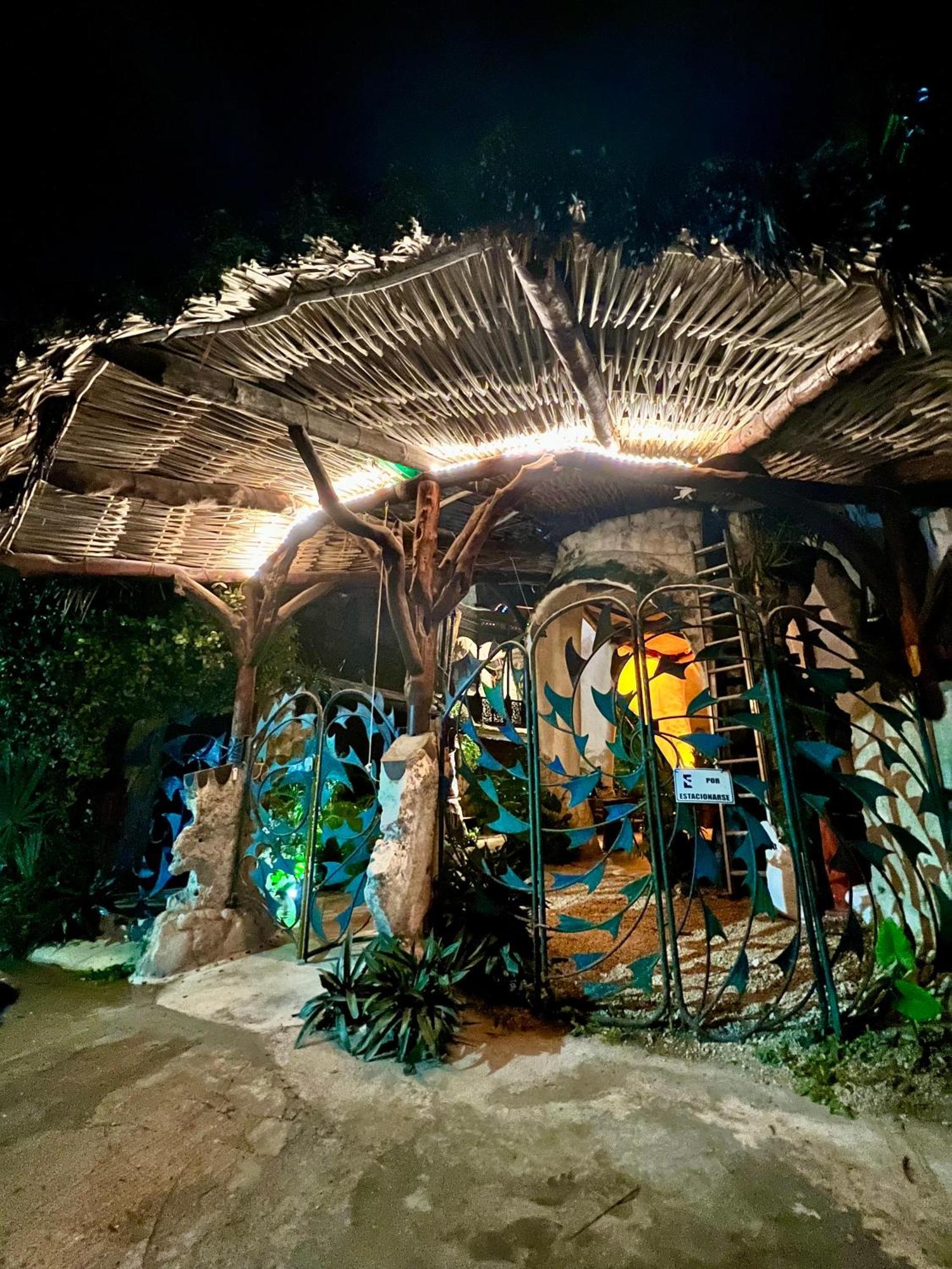 Bed and Breakfast La Quinta Orquidea Пуэрто-Морелос Экстерьер фото