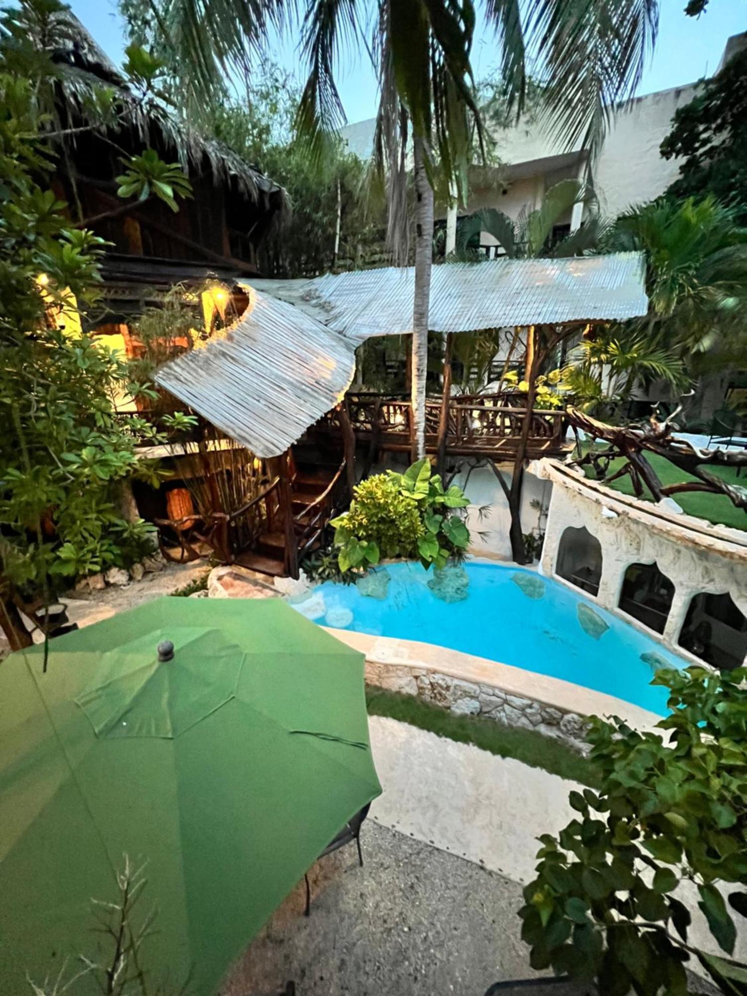 Bed and Breakfast La Quinta Orquidea Пуэрто-Морелос Экстерьер фото