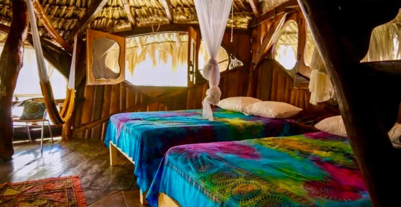 Bed and Breakfast La Quinta Orquidea Пуэрто-Морелос Экстерьер фото