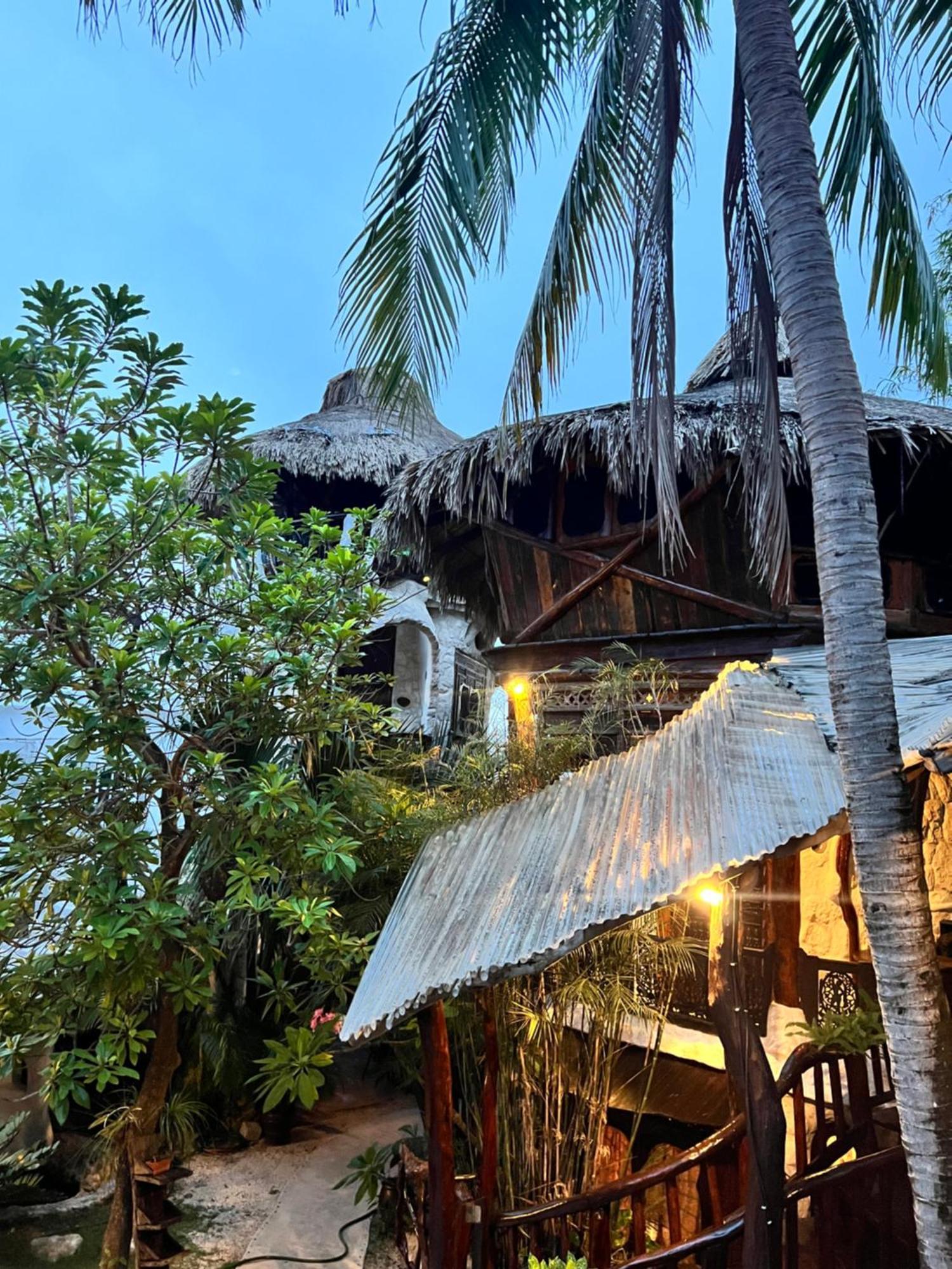 Bed and Breakfast La Quinta Orquidea Пуэрто-Морелос Экстерьер фото
